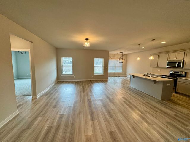 336 Shady Lane, Hazel Green, AL 35750