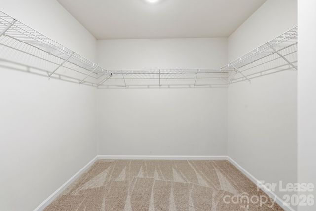 2007 Birch Arbor Court, Charlotte, NC 28215