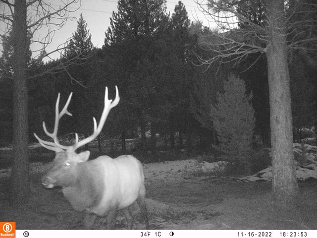 2125 Lava, Mccloud, CA 96057