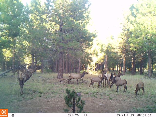 2125 Lava, Mccloud, CA 96057