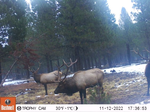 2125 Lava, Mccloud, CA 96057