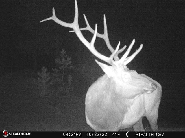 2125 Lava, Mccloud, CA 96057