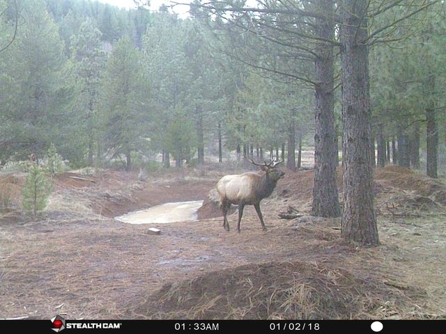 2125 Lava, Mccloud, CA 96057