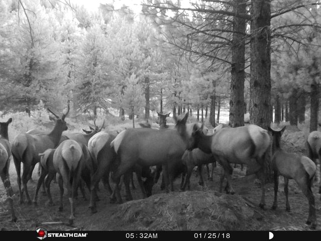 2125 Lava, Mccloud, CA 96057