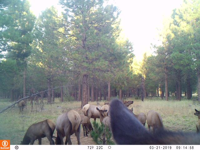 2125 Lava, Mccloud, CA 96057