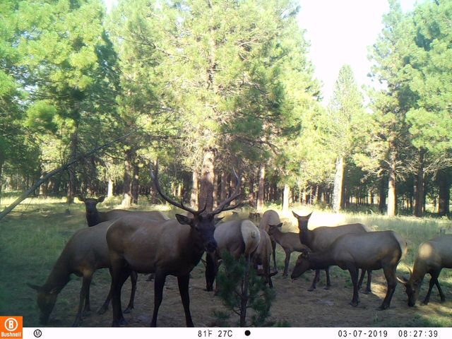 2125 Lava, Mccloud, CA 96057