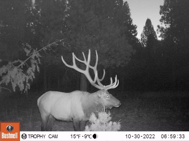 2125 Lava, Mccloud, CA 96057