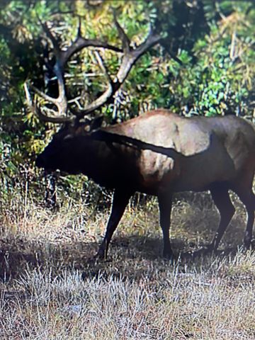 2125 Lava, Mccloud, CA 96057