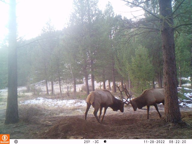 2125 Lava, Mccloud, CA 96057