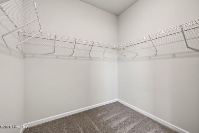 111 Rider Road, Pikeville, NC 27863