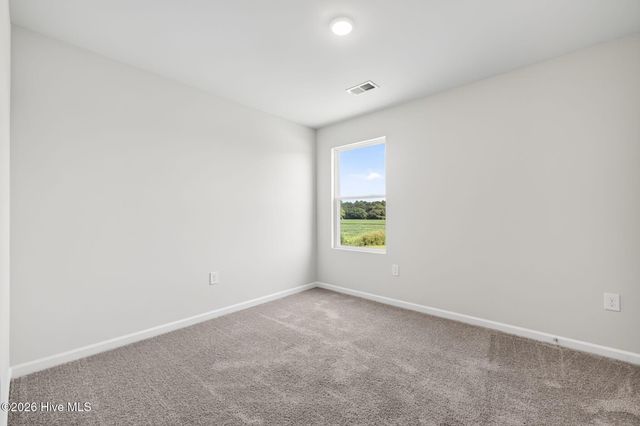 111 Rider Road, Pikeville, NC 27863