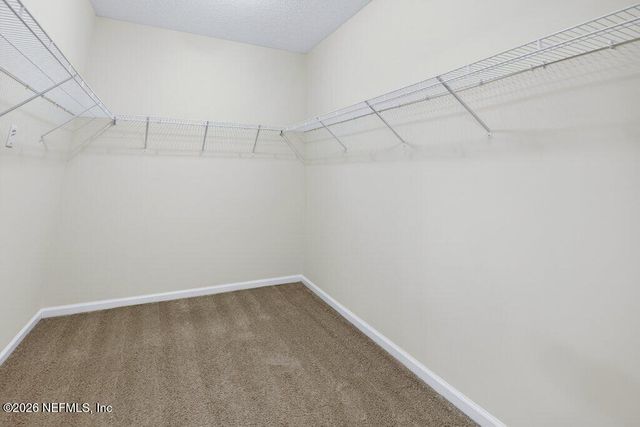 132 MAGNOLIA CREEK Walk, Ponte Vedra, FL 32081