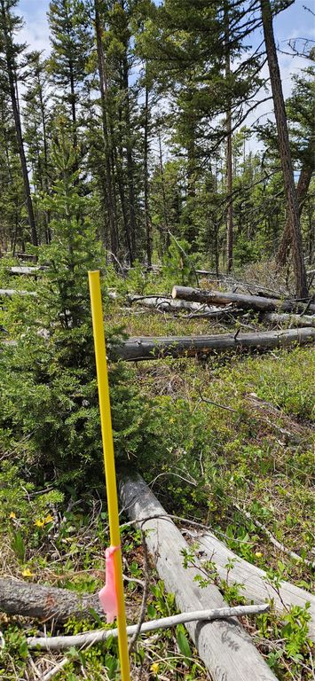 000 Bear Gulch Road, Lincoln, MT 59639 photo 11