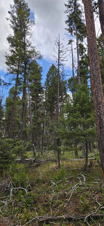 000 Bear Gulch Road, Lincoln, MT 59639 photo 2