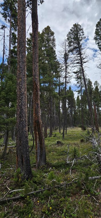 000 Bear Gulch Road, Lincoln, MT 59639 photo 3