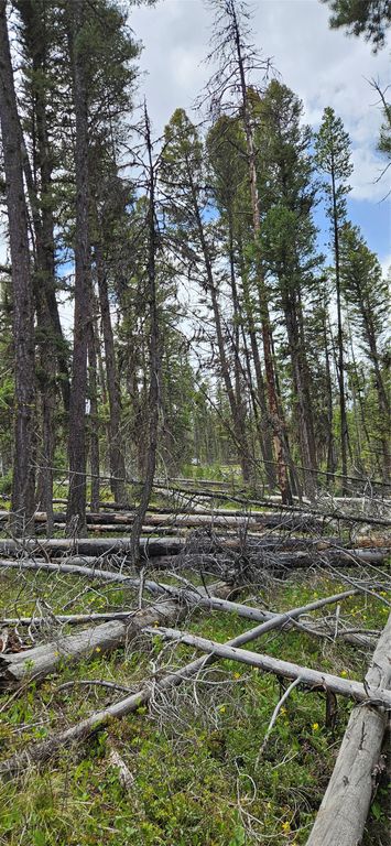 000 Bear Gulch Road, Lincoln, MT 59639 photo 8