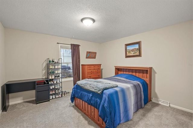 441 Jamison Drive, Bonner Springs, KS 66012