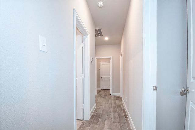 6004 Horsetail Drive, Mckinney, TX 75071