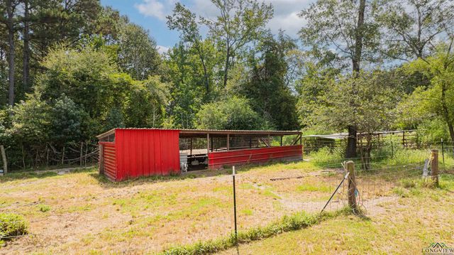 10660 State Highway 154 E, Diana, TX 75640