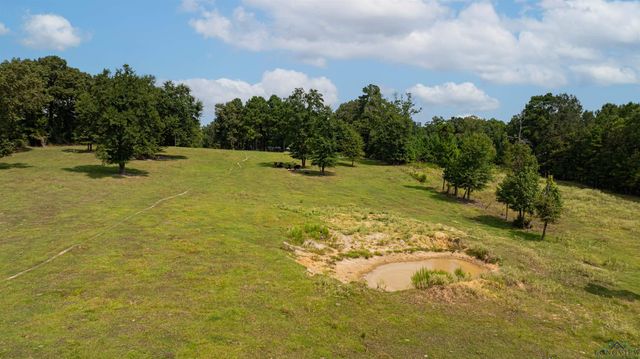 10660 State Highway 154 E, Diana, TX 75640