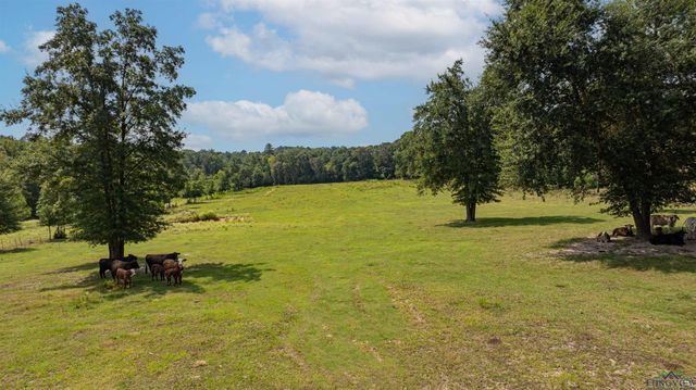 10660 State Highway 154 E, Diana, TX 75640