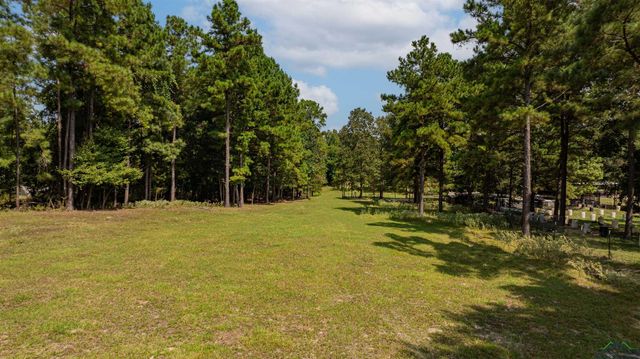 10660 State Highway 154 E, Diana, TX 75640