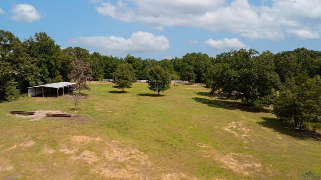 10660 State Highway 154 E, Diana, TX 75640