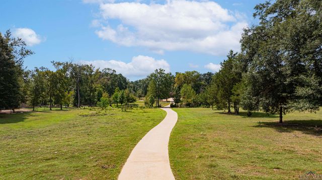 10660 State Highway 154 E, Diana, TX 75640