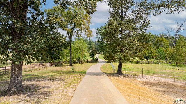 10660 State Highway 154 E, Diana, TX 75640