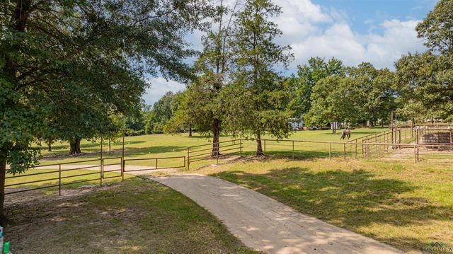 10660 State Highway 154 E, Diana, TX 75640