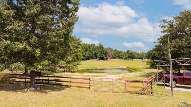 10660 State Highway 154 E, Diana, TX 75640