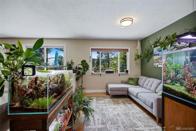 31280 Florence Road, Conifer, CO 80433
