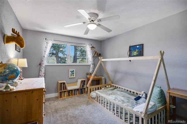 31280 Florence Road, Conifer, CO 80433
