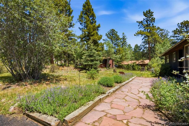 31280 Florence Road, Conifer, CO 80433