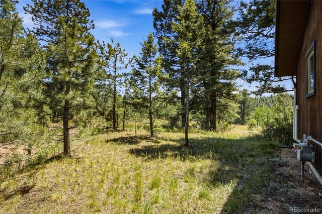 31280 Florence Road, Conifer, CO 80433