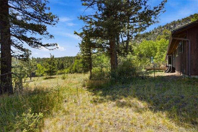 31280 Florence Road, Conifer, CO 80433