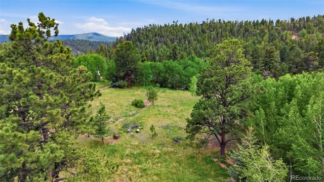 31280 Florence Road, Conifer, CO 80433