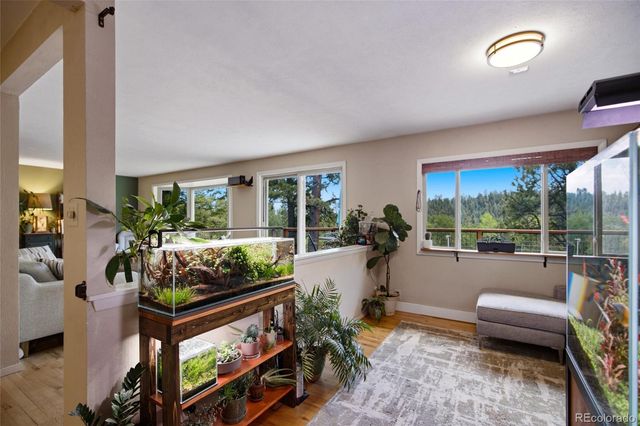 31280 Florence Road, Conifer, CO 80433