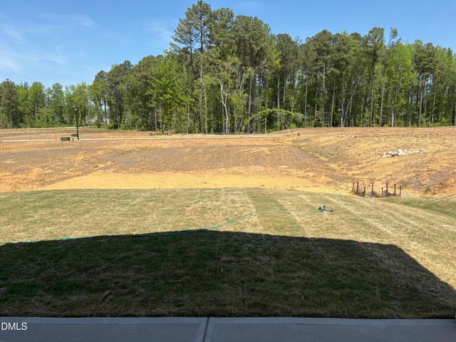 106 Moonflower Lane Homesite 266, Wilsons Mills, NC 27520