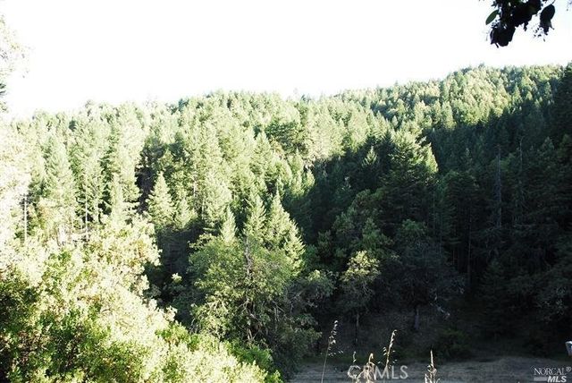 8555 Cave Creek Road, Redwood Valley, CA 95470