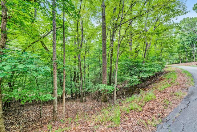 0 Fox Chase RD, Wirtz, VA 24184