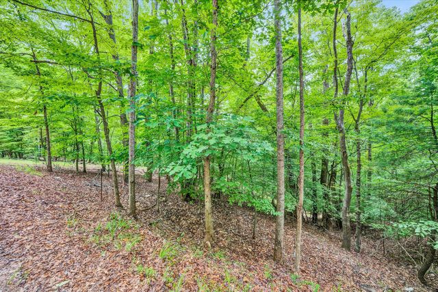 0 Fox Chase RD, Wirtz, VA 24184
