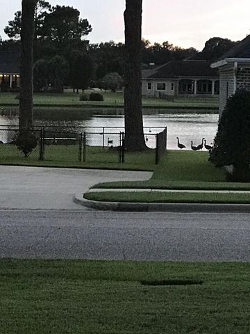 316 Cotton Ridge Ln., Dothan, AL 36301