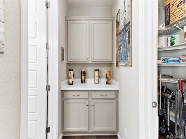 2578 Palau Way, Castle Rock, CO 80109