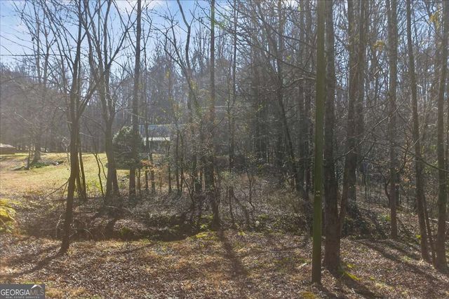 1614 Roy Road, Ellijay, GA 30536