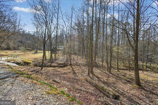 1614 Roy Road, Ellijay, GA 30536