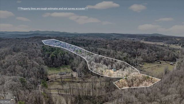 1614 Roy Road, Ellijay, GA 30536