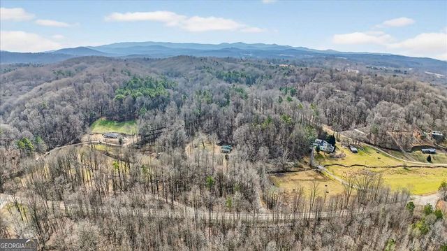 1614 Roy Road, Ellijay, GA 30536