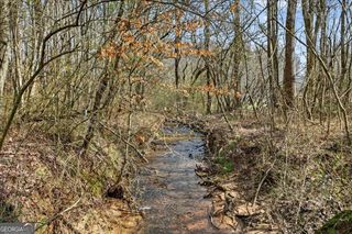 1614 Roy Road, Ellijay, GA 30536