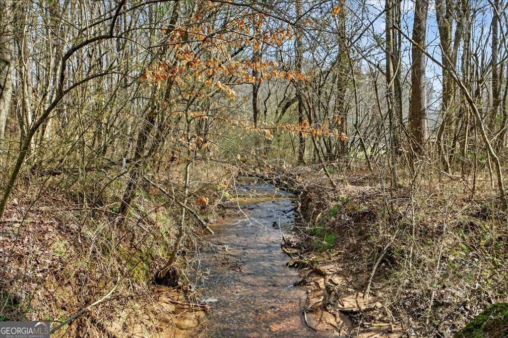 1614 Roy Road, Ellijay, GA 30536